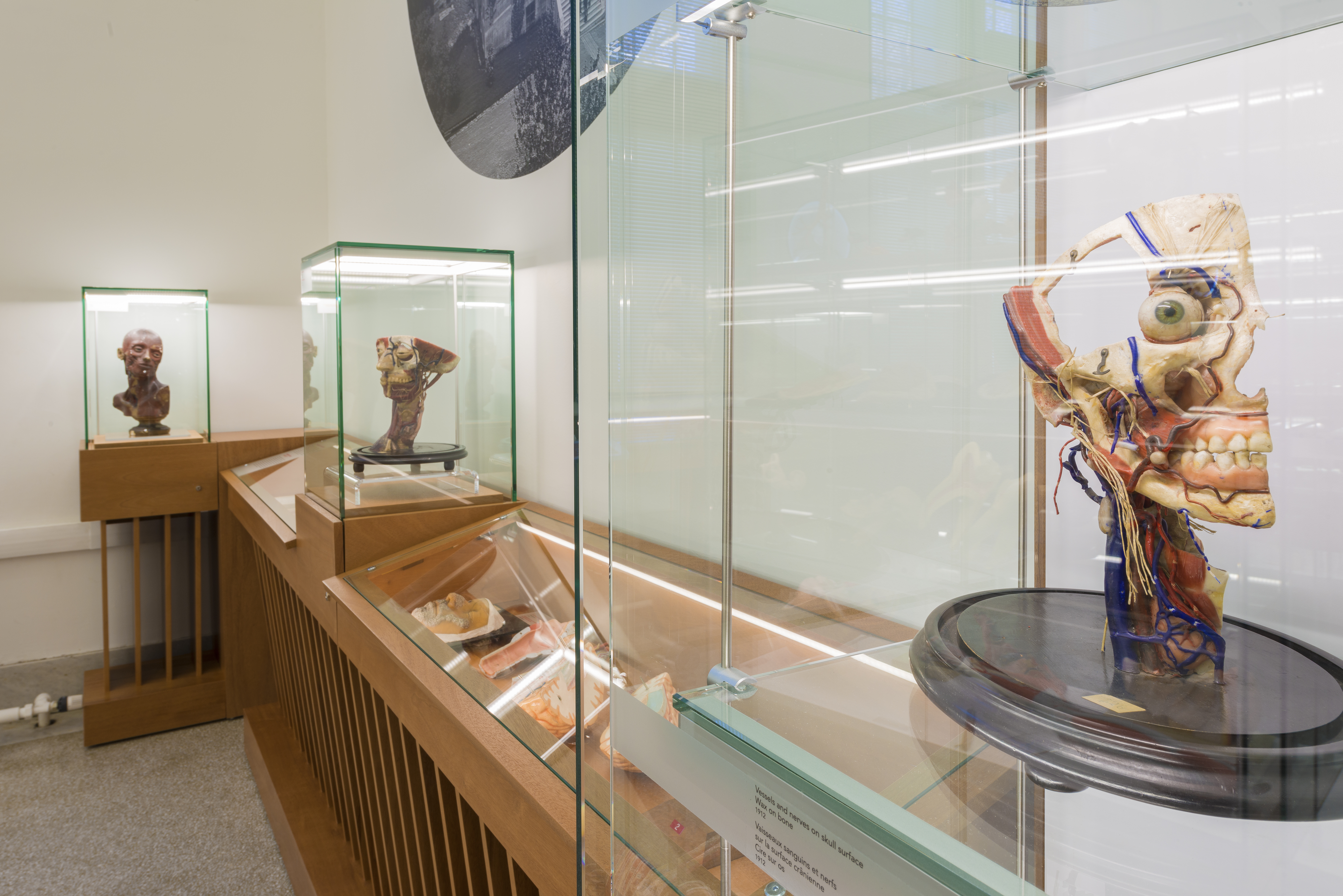 Musée Maude Abbott, Université McGill - Image principale