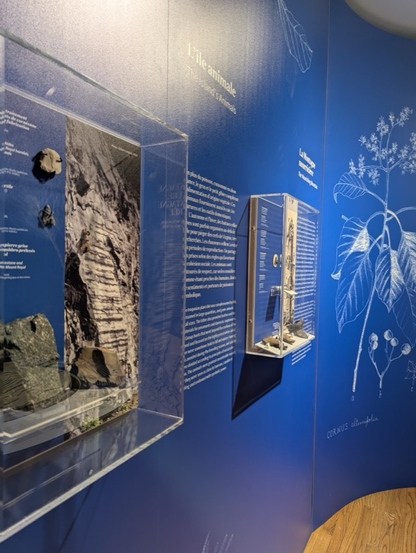 Le mont Royal, Musée des Hospitalières - Image 11