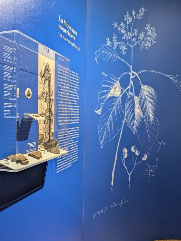 Le mont Royal, Musée des Hospitalières - Image 12