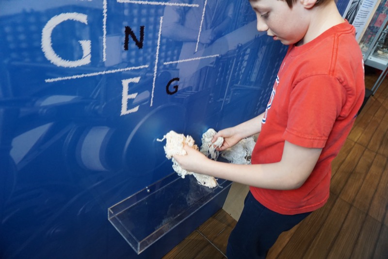 Montreal Cotton - Image 3