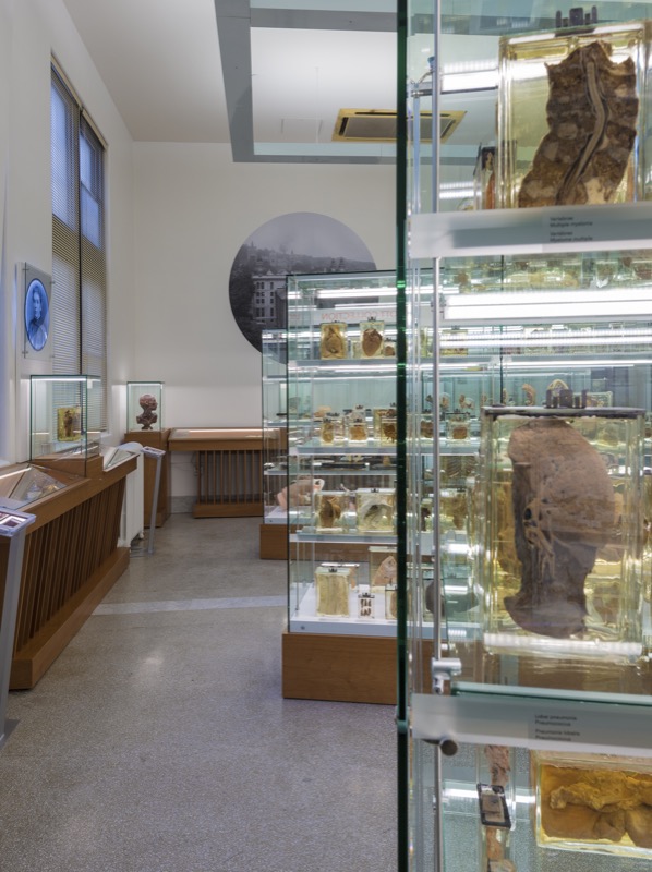 Musée Maude Abbott, Université McGill - Image 2