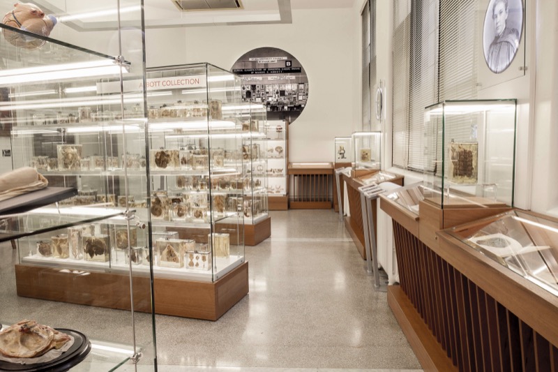 Musée Maude Abbott, Université McGill - Image 3