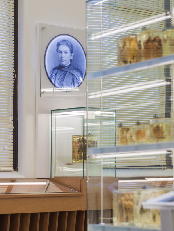 Musée Maude Abbott, Université McGill - Image 5