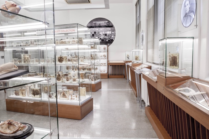 Musée Maude Abbott, Université McGill - Image 8