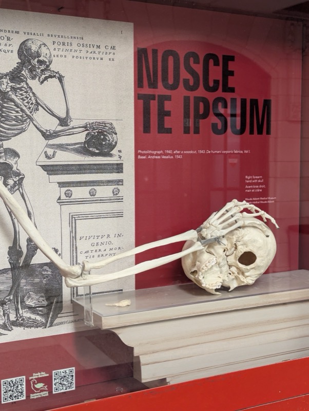 . Stations d incendie - Image 8