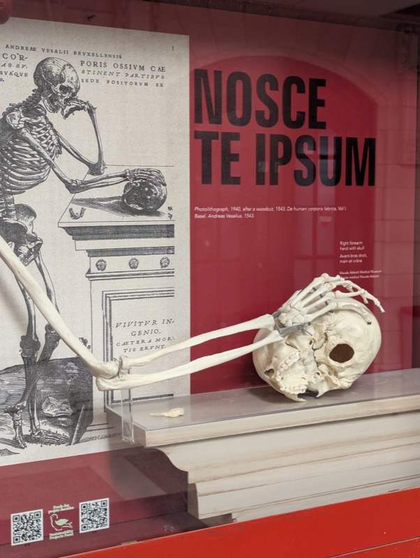 . Stations d incendie - Image 9