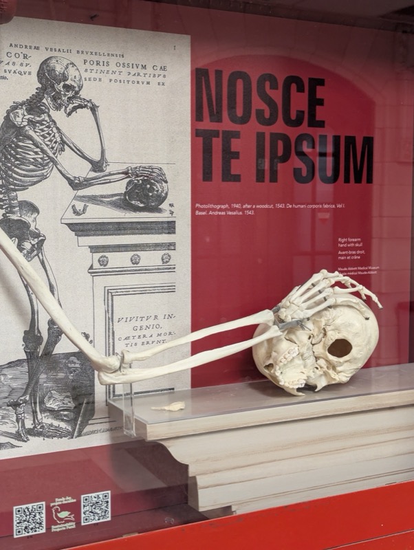 . Stations d incendie - Image 10