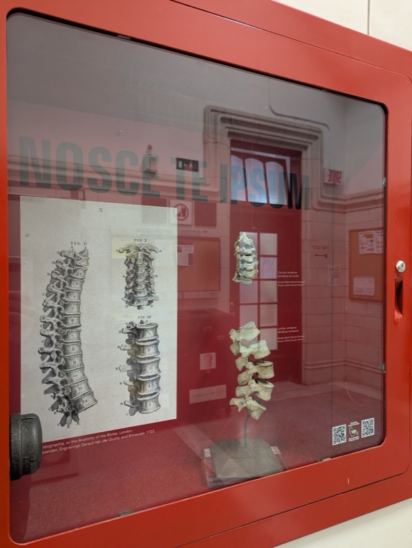 . Stations d incendie - Image 25