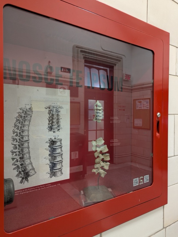 . Stations d incendie - Image 27