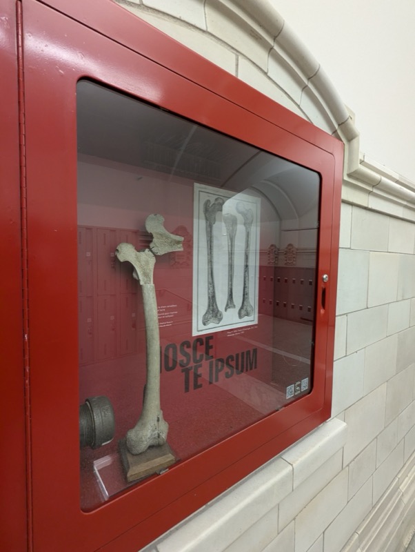 . Stations d incendie - Image 33